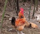 来报个到[呲牙]