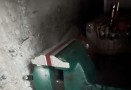 便宜出