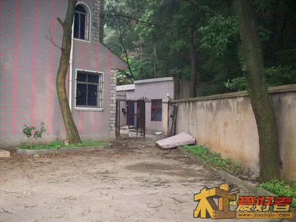 院内之后院.jpg