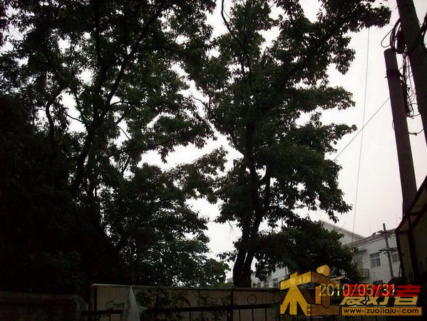 院内天空3.jpg