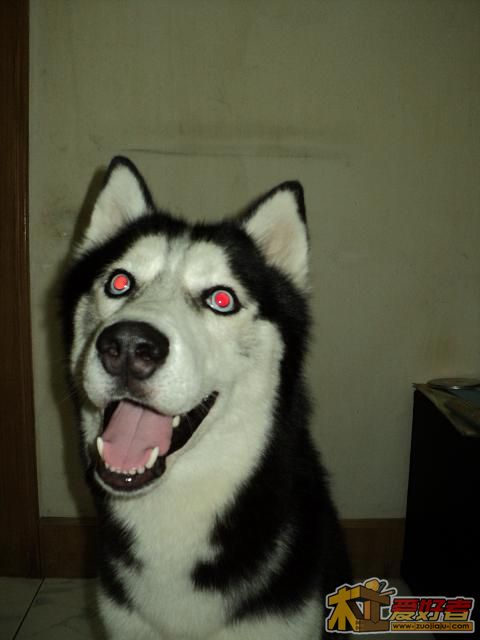 DSC00087.jpg
