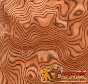 虎班.jpg