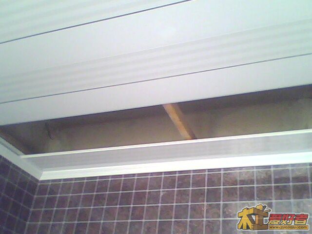 IMG0919A.jpg