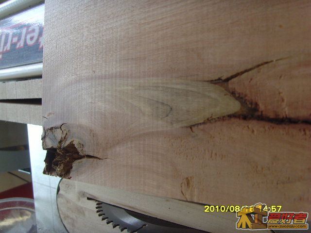 SNV32012.JPG