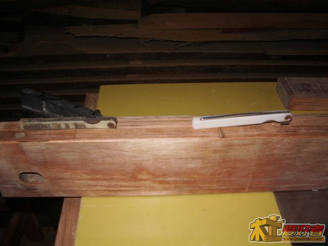 IMGP2479.JPG