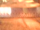 IMG0353A.jpg