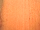 IMG0345A.jpg