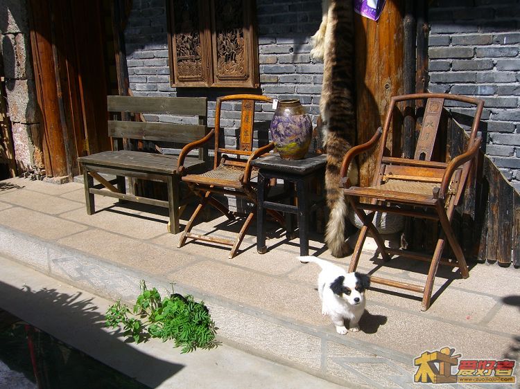 照片 111.jpg