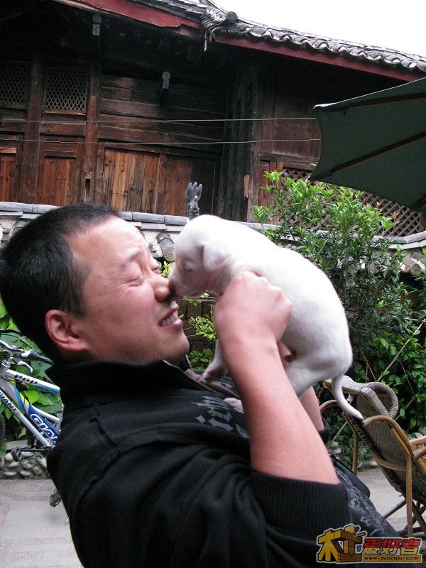 nEO_IMG_照片 004.jpg