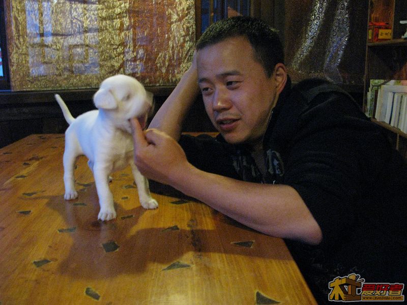 nEO_IMG_照片 019.jpg