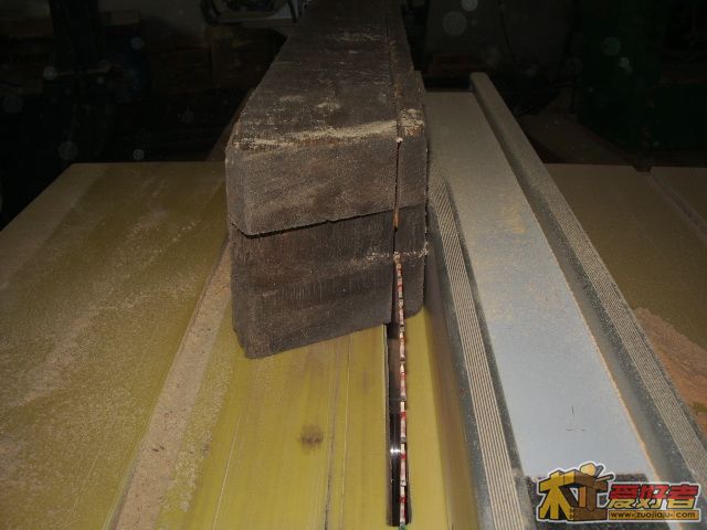IMGP2587.JPG