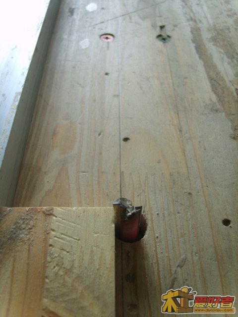 S8303889.JPG