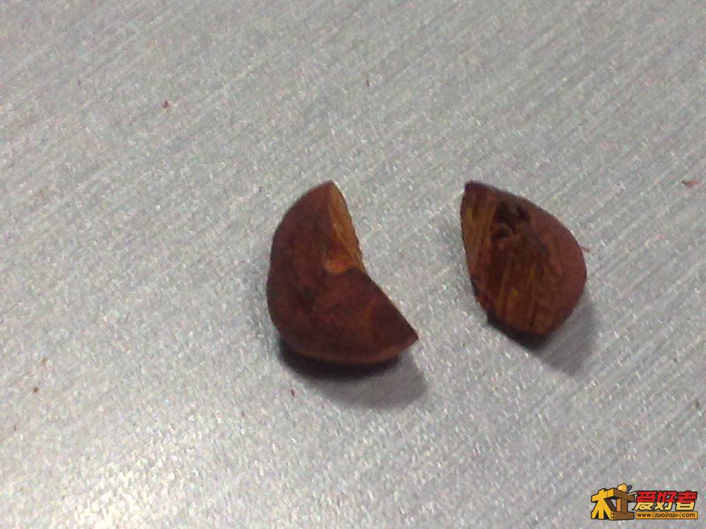 20101028017.jpg