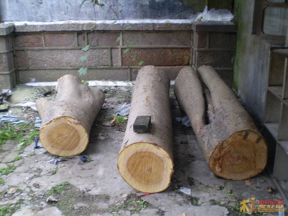 PA290075.JPG