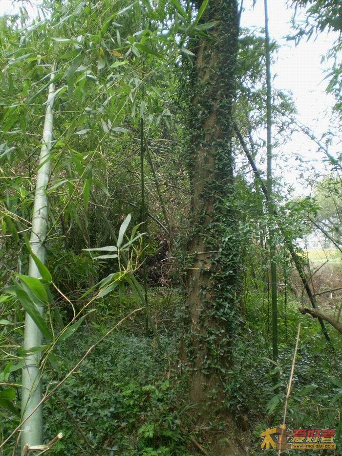 PA290068.JPG