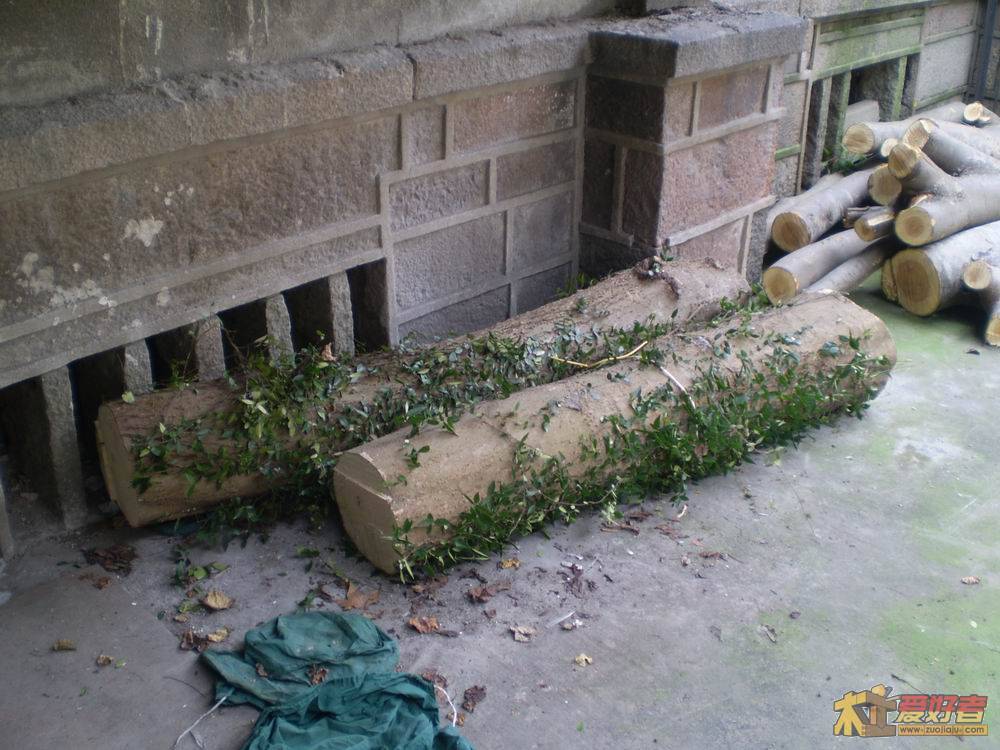 PA290076.JPG