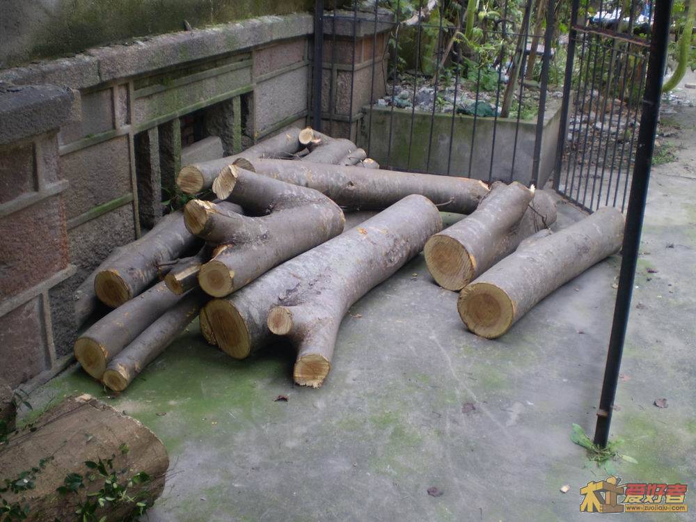 PA290077.JPG