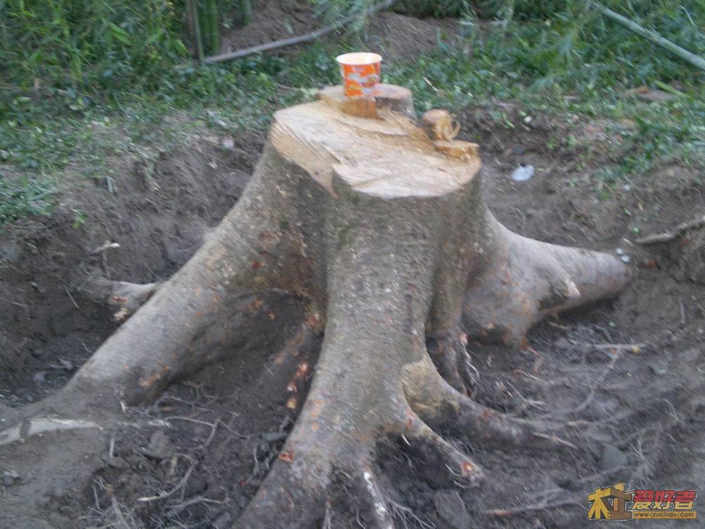 PA300083.JPG