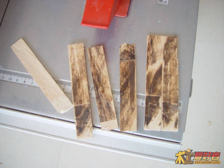 DSC01826_缩小大小.JPG