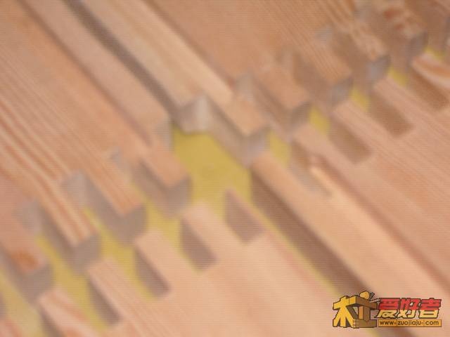 IMGP2967.JPG