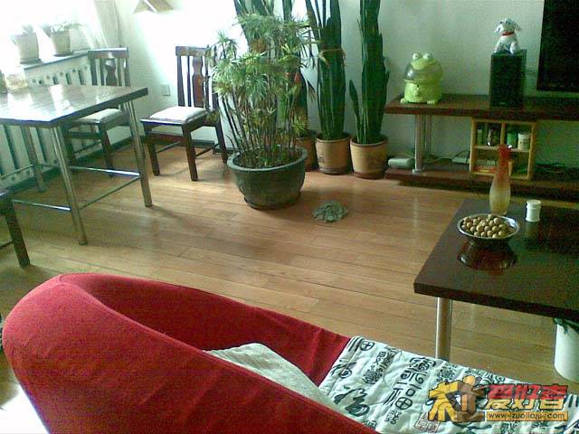 20101212(006).jpg