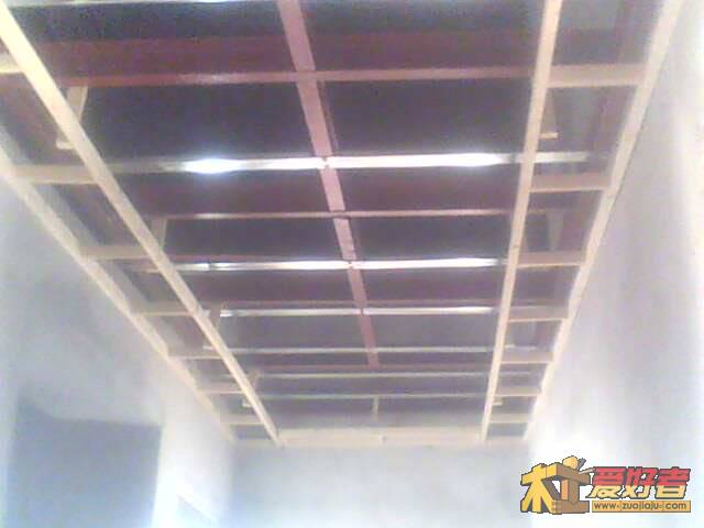 IMG0813A.jpg