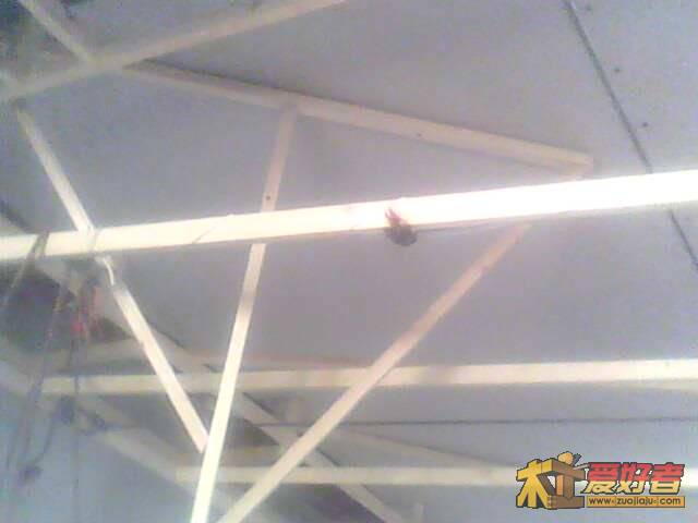 IMG0823A.jpg
