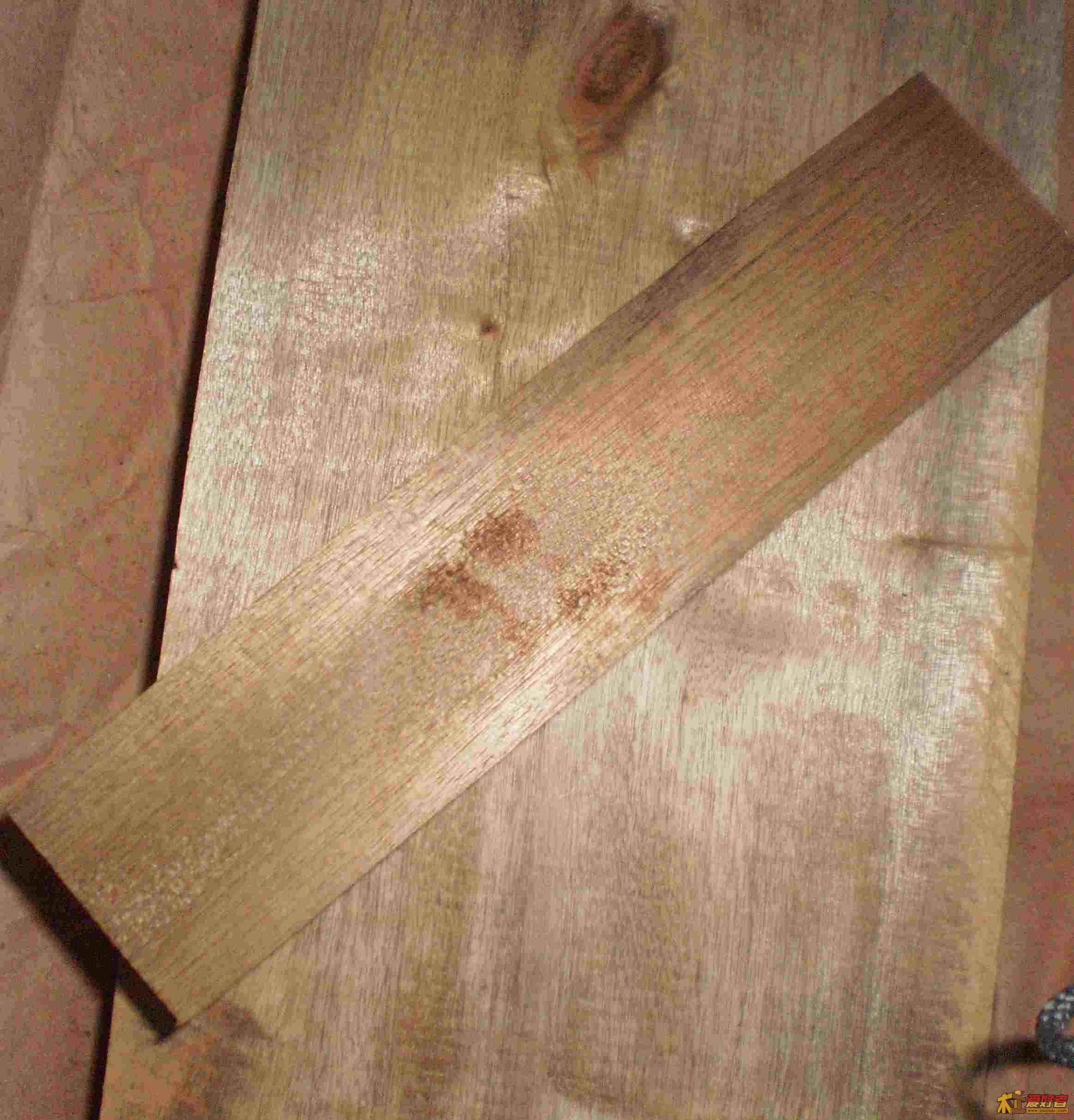 PC020032_conew1.jpg