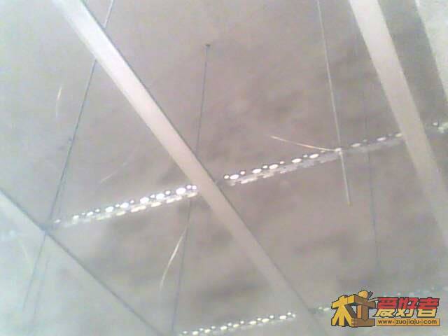 IMG0838A.jpg
