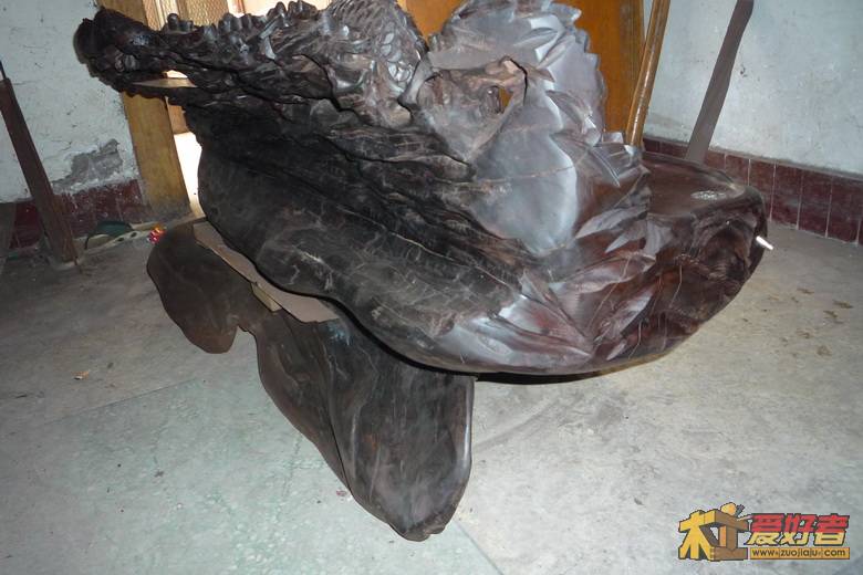 2010.12.20鱼鳅浩图片 071_调整大小.jpg