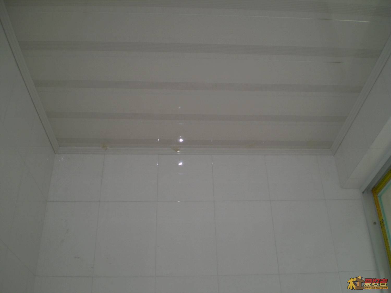P1090208.JPG