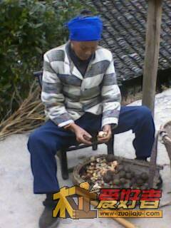 IMG1419A.jpg
