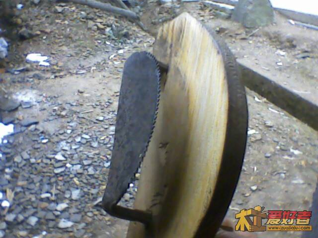 IMG1713A.jpg