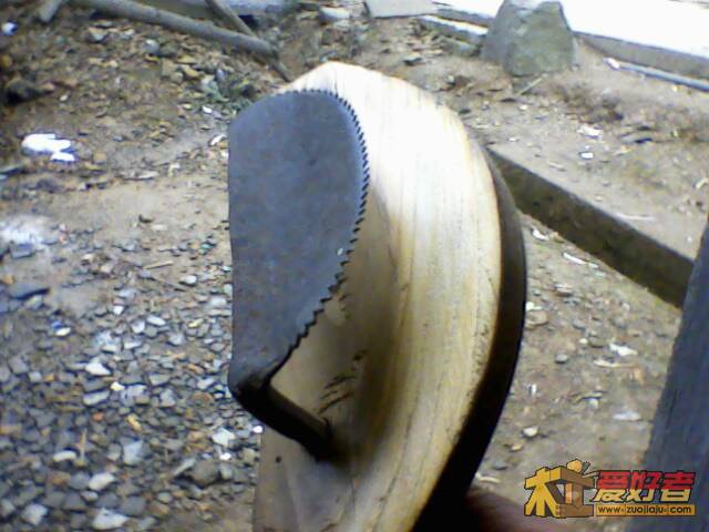 IMG1714A.jpg