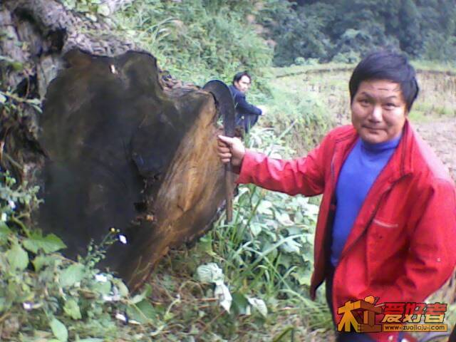 IMG1257A.jpg