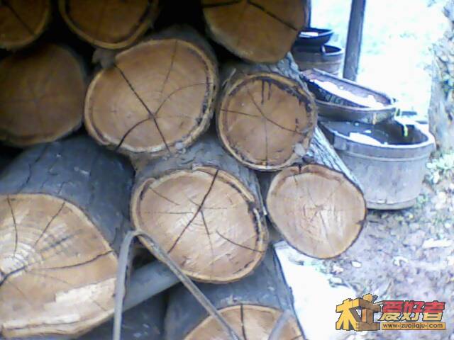 IMG2071A.jpg