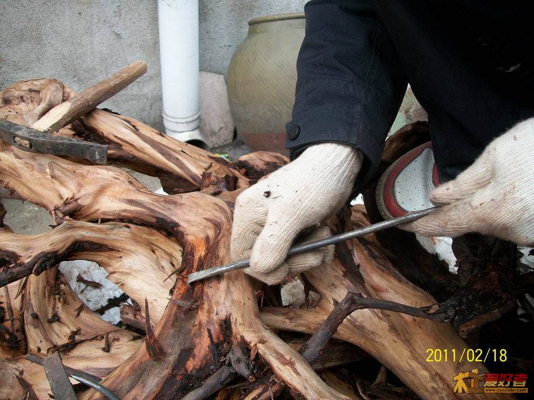 柏根6.jpg