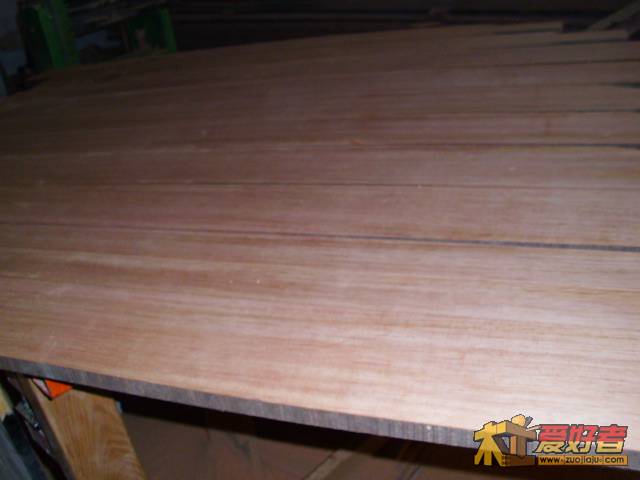 DSCI0479.JPG