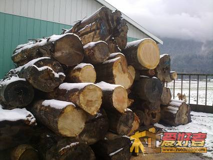 20110222743.jpg