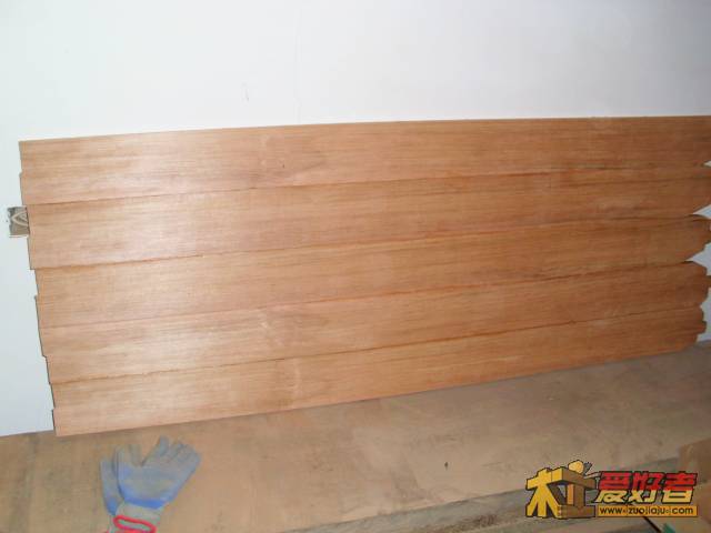 DSCI0488.JPG