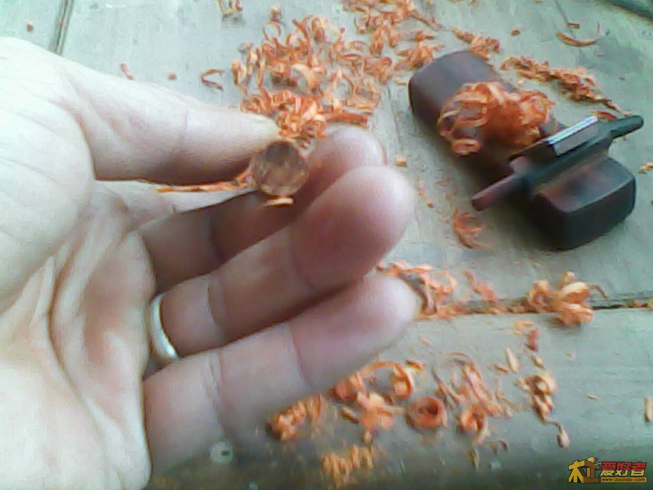 Img00007.jpg