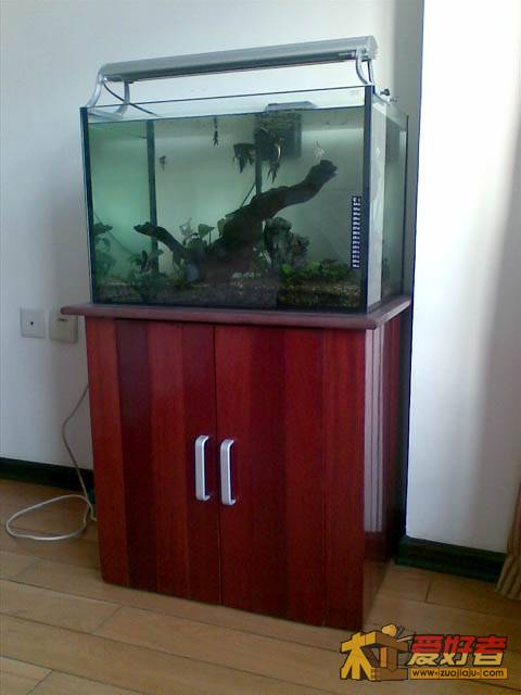 20110302(006).jpg