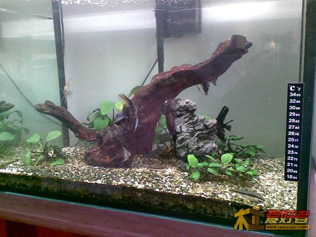 20110302(008).jpg