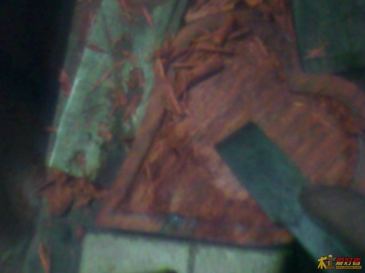 Img00115.jpg