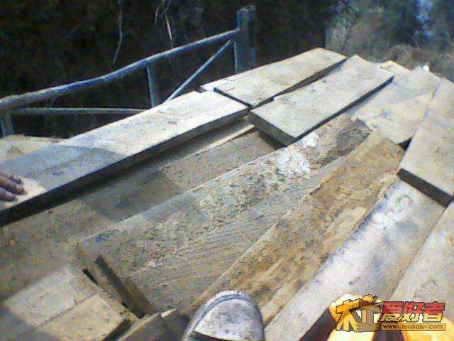 IMG2334A.jpg