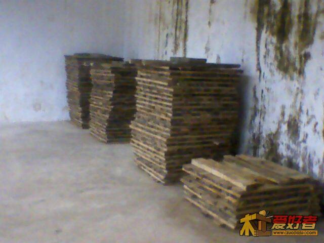 IMG2337A.jpg