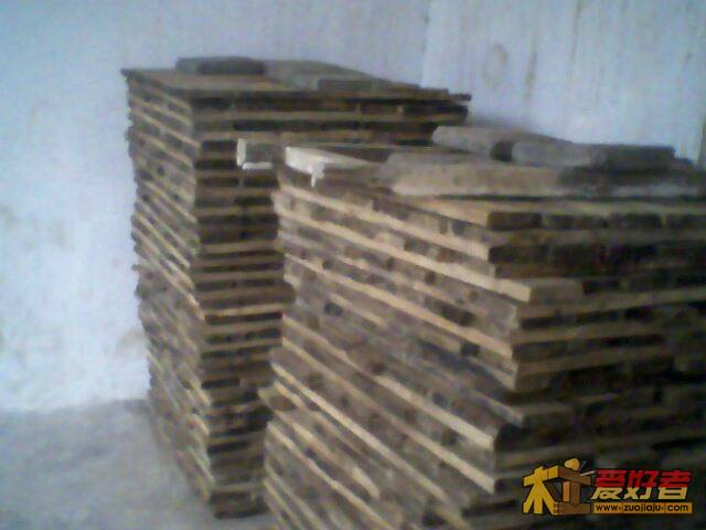 IMG2338A.jpg