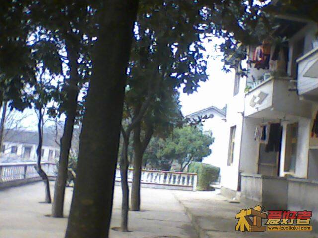 IMG2353A.jpg