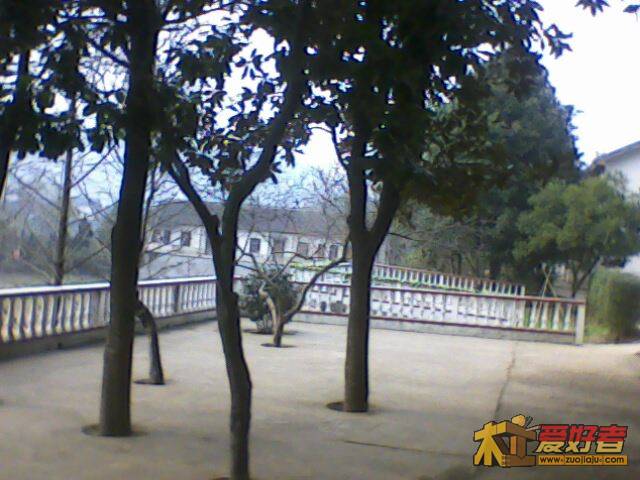 IMG2354A.jpg