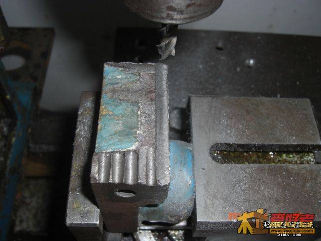 20110104_e39a0709b7b238cf63b05vrJ5tYPwzVP.jpg